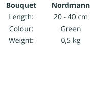 Bouquet Length: Colour: Weight:    Nordmann 20 - 40 cm Green 0,5 kg